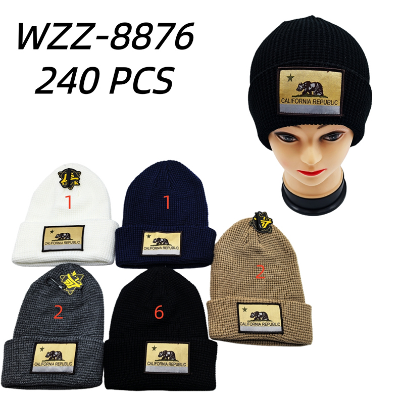 WZZ-8876 CS240